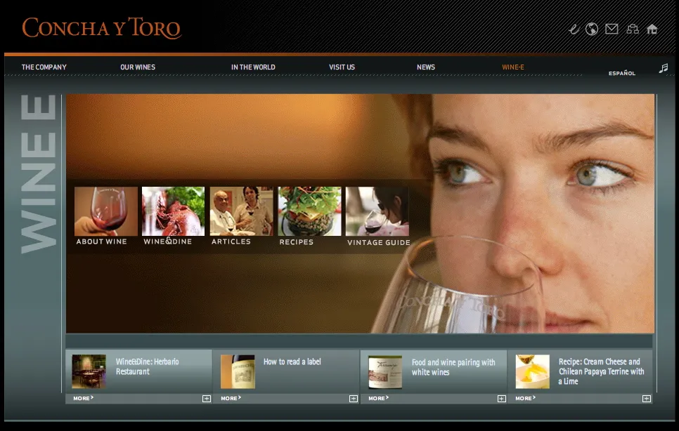 Captura del proyecto Viña Concha y Toro 2